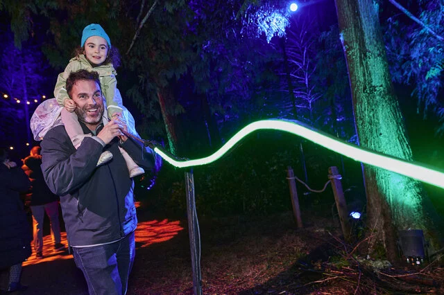 Harry Potter A Forbidden Forest Experience 
