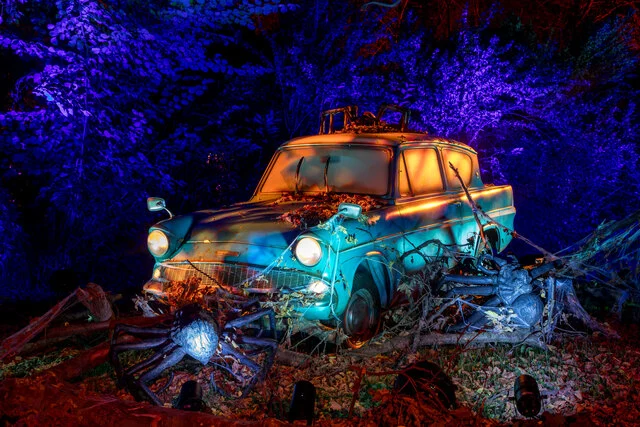 Harry Potter A Forbidden Forest Experience