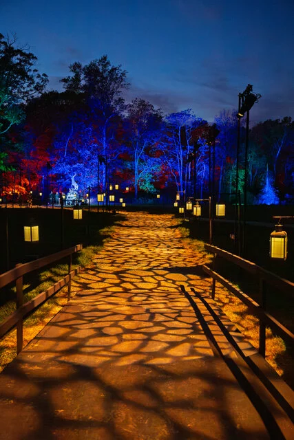 Harry Potter A Forbidden Forest Experience