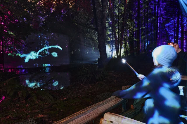 Harry Potter A Forbidden Forest Experience