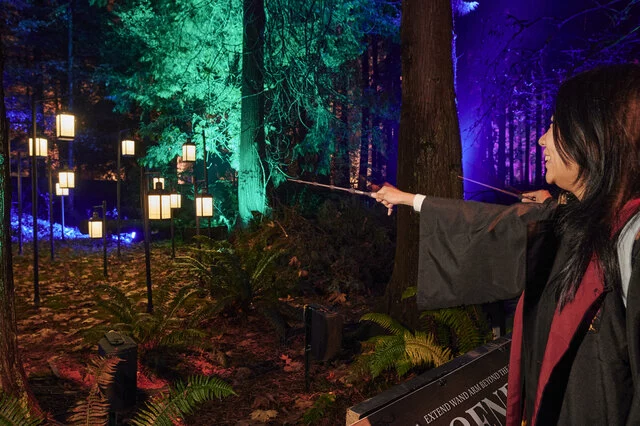 Harry Potter A Forbidden Forest Experience