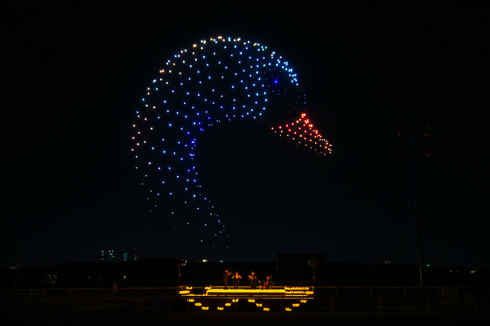 DroneArt Show_Fever (1).jpg
