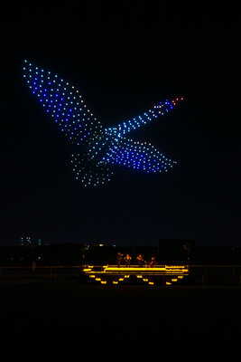 DroneArt Show_Fever (9)