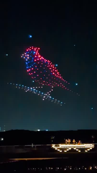 DroneArt Show_Fever (20).mp4
