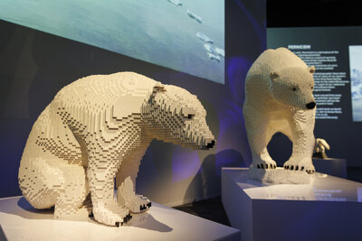 ExhibitionHub_LegoGrandOpening