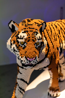 AaronSchorchPhotography_ArtoftheBrick