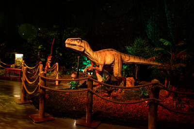Dinos Alive 6