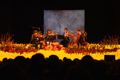 2024_10_26_Sala-Fernando-De-Rojas-Del-Circulo-De-Bellas-Artes_MADRID_ES_047_puigmq