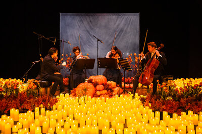 2024_10_26_Sala-Fernando-De-Rojas-Del-Circulo-De-Bellas-Artes_MADRID_ES_087_bhywkh