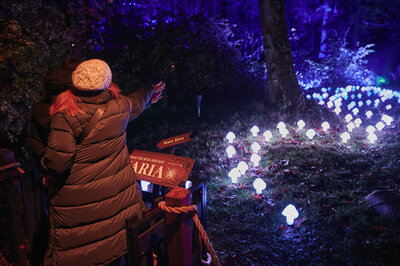 Harry Potter A Forbidden Forest Experience Vancouver - 6