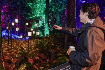 Harry Potter A Forbidden Forest Experience Vancouver - 4