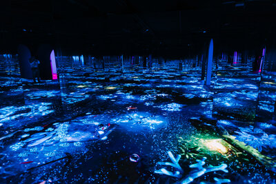 569905-QuentinGuyot_0014 (2)-e01032-original-1736270585