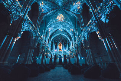 Genesis_Bordeaux