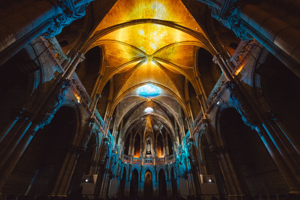 Genesis_Bordeaux
