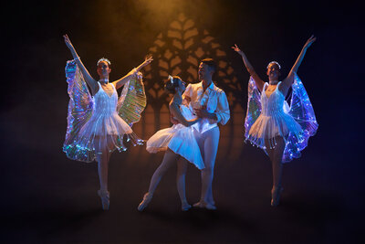 Ballet of Lights_Sleeping Beauty 4
