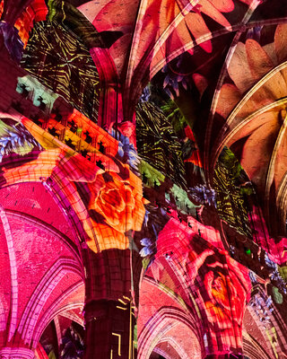 EONARIUM_GENESIS_LIEGE_JAN26_APPFILMS_VIDEOS_FOTOS_0 81