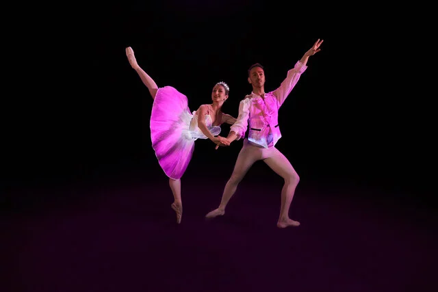 Ballet of Lights_Sleeping Beauty 1