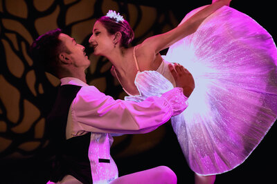 Ballet of Lights_Sleeping Beauty