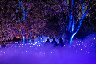 Light_Cycles_Moment_Factory