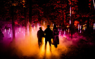 Light_Cycles_Moment_Factory