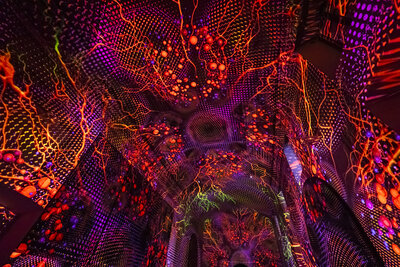 Enlightenment_PROJEKTIL_Fever©_MuseoDiocesanodiBrescia