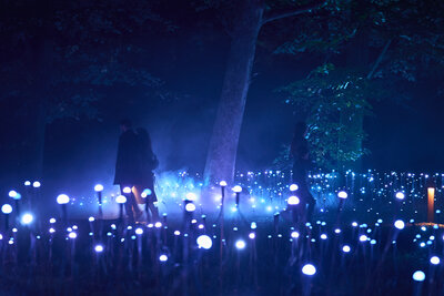 Lcy_Milan_Moment Factory_Crystal Grove_DSC07622