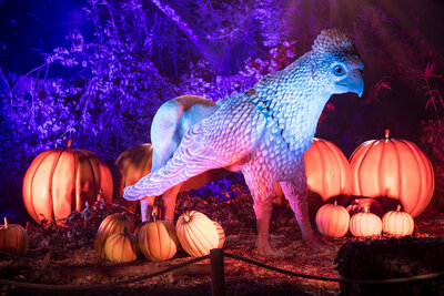 606850-FORBIDDEN_FOREST_MONTAUBAN_GCOM_-21-4d1d01-original-1755527308