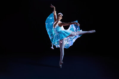 Ballet of Lights_Sleeping Beauty 3