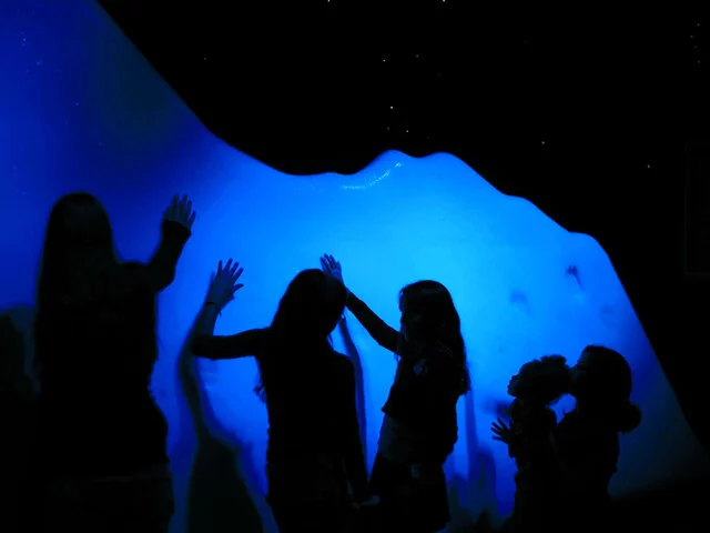 Visitors 1 C6987e