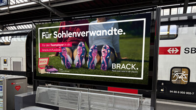 F12_Sohlenverwandte 1