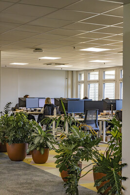 Mägenwil 2. OG - Büro (24)