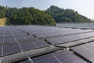Willisau Logistikzentrum Brack.Alltron Solar 01
