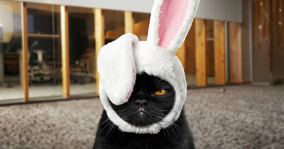 20250229_BRACK_Bilder_01_sfw