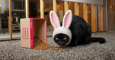 20250229_BRACK_Bilder_04_sfw