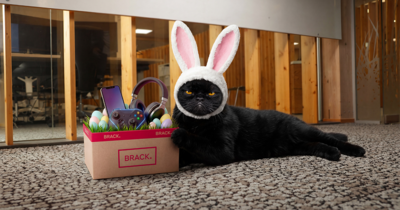 20250229_BRACK_Bilder_03_sfw