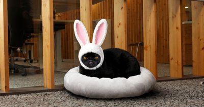 20250229_BRACK_Bilder_02_2_sfw