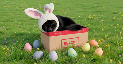 20250229_BRACK_Bilder_06_sfw