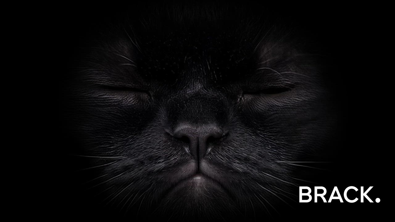 Brack_DOOH_Ostern_Generisch_10s_eBoard_DE.mp4