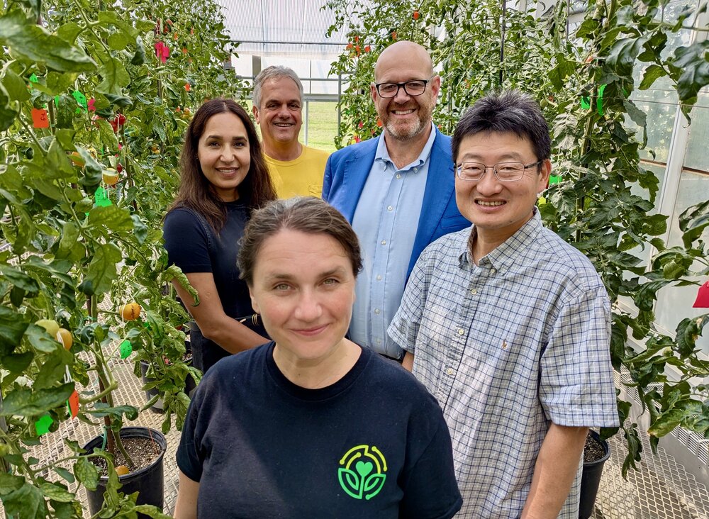 Front: Dr. Magdalena Julkowska, Assistant Professor, Boyce Thompson Institute. Back (from left): Dr. Gaganpreet Sidhu, CTO, Meiogenix, Dr. Jim Giovannoni, USDA Scientist and BTI Adjunct Professor;  Ricardo Garcia de Alba, CEO, Meiogenix; and Dr. Zhangjun Fei, Professor, BTI. The group gathered to celebrate the launch of the collaborative project.