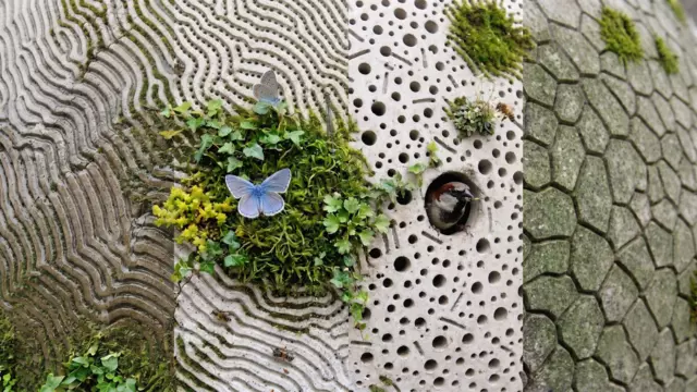 14_The skin as habitat (3)