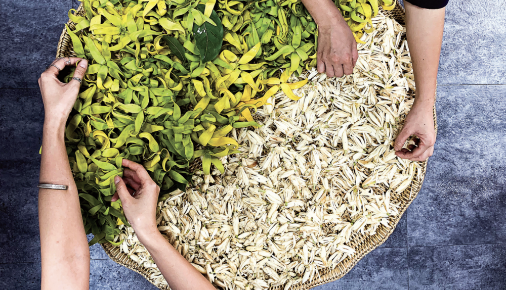 New Gin Frontier: The Versatile and Botanical-Driven Spirit Can Take a Distinct Page From the Pla...