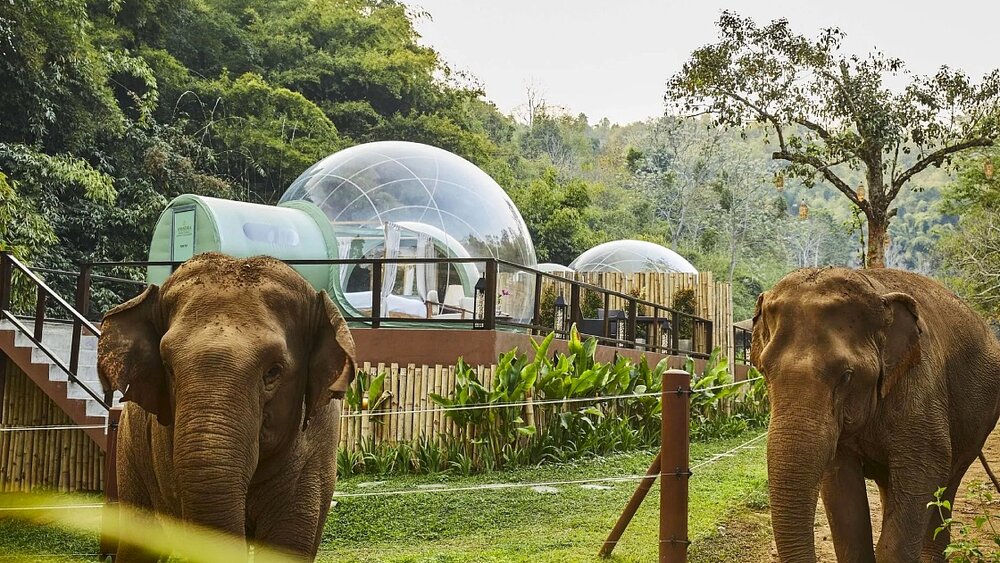 Meet the Thai-Born Hotel Brands Putting Thai Hospitality on the Global Map