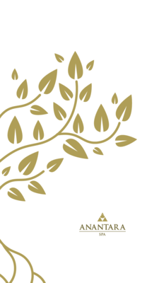 AMAA Spa Brochure