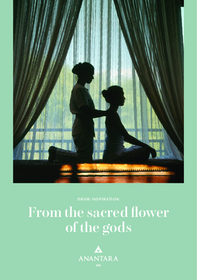 Anantara Golden Triangle Elephant Camp & Resort - Spa Menu