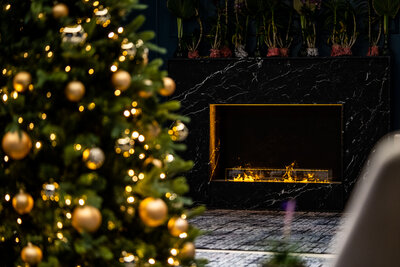 Anantara_Grand_Hotel_Krasnapolsky_Amsterdam_Festive_Generic_Decoration_Lobby.jpg