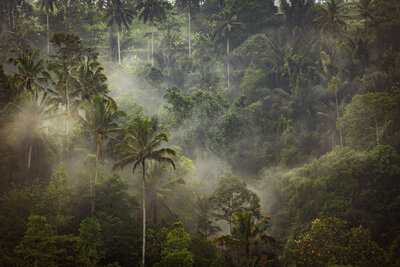 Anantara_Ubud_Bali_General_Views_0823