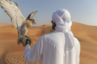 Qasr_Al_Sarab_Desert_Resort_by_Anantara_Recreation_Activities_Falcon_Show_Falconer_Close (1).jpg