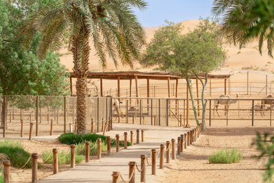 Qasr_Al_Sarab_Desert_Resort_Ezba_Farm.jpg