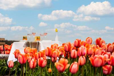 Anantara Grand Hotel Krasnapolsky Amsterdam - Tulip Private Dining