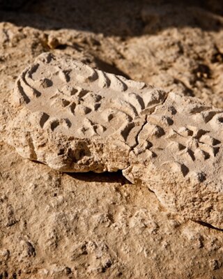 608130-Anantara Sir Bani Yas Island Stones that were discovered on the island 2-d2dffc-original-1756177313.jpg